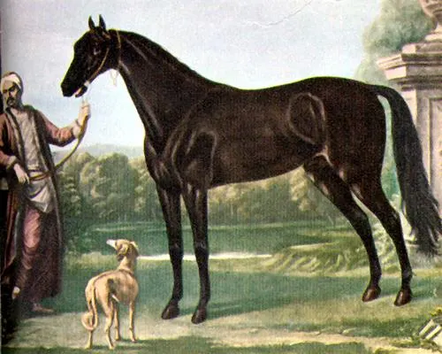 Byerly Turk, one of the most influential foundation stallions in Thoroughbred history. The horse stands gracefully in a pastoral setting, highlighting its athletic build and refined features. A handler in traditional attire holds the horse’s reins, while a dog appears in the foreground, adding charm to the historical scene. The backdrop includes lush greenery and an architectural structure, emphasizing the timeless significance of this legendary horse.